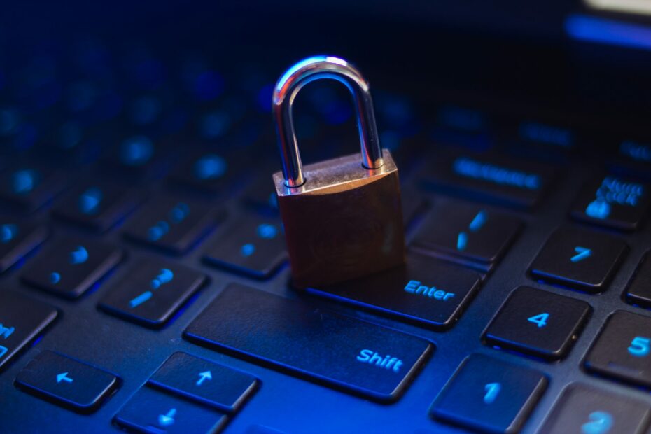 (Foto: Micaelle Morais/Mercatus)