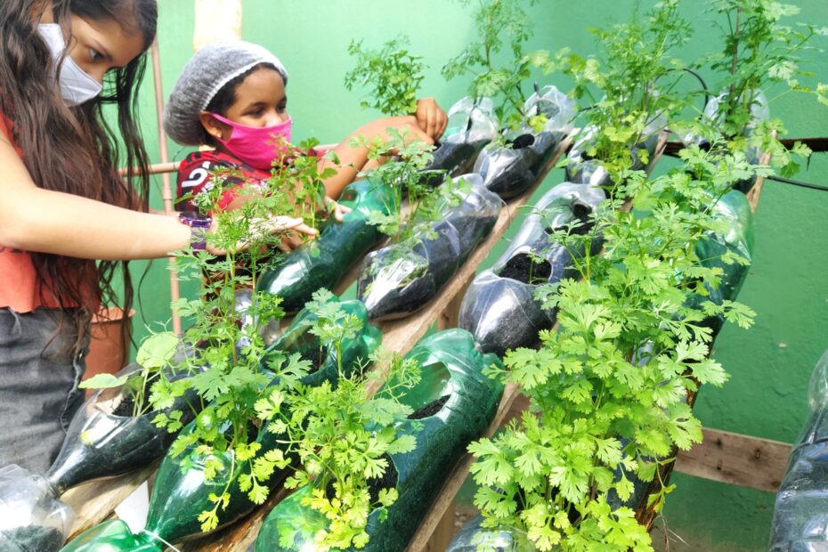 (Foto: Reprodução/Amitis)