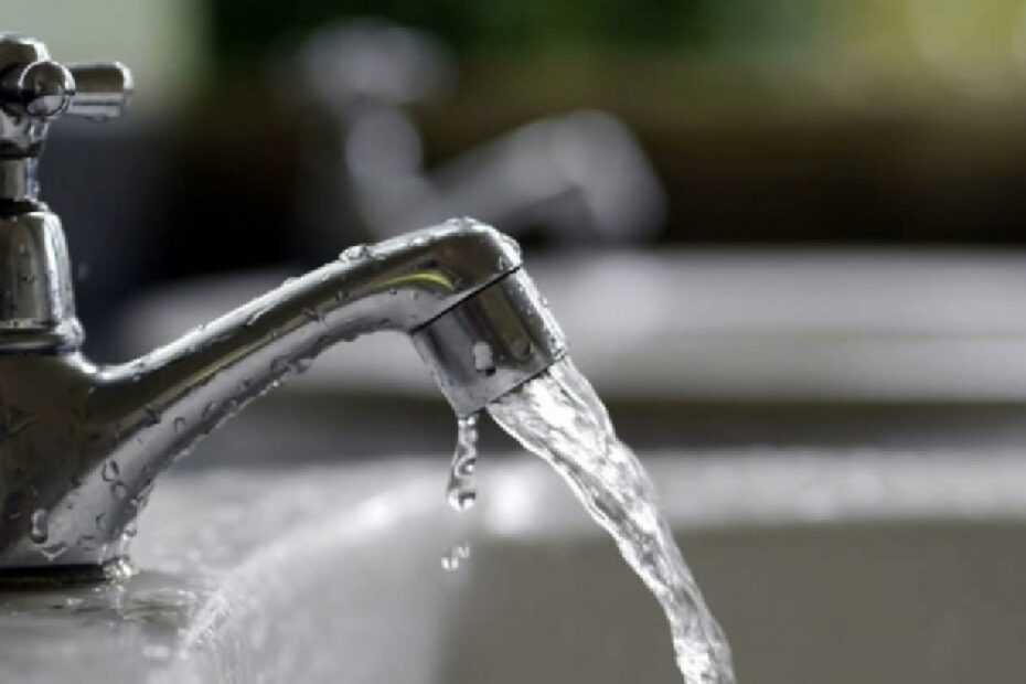 (Foto: Divulgação/