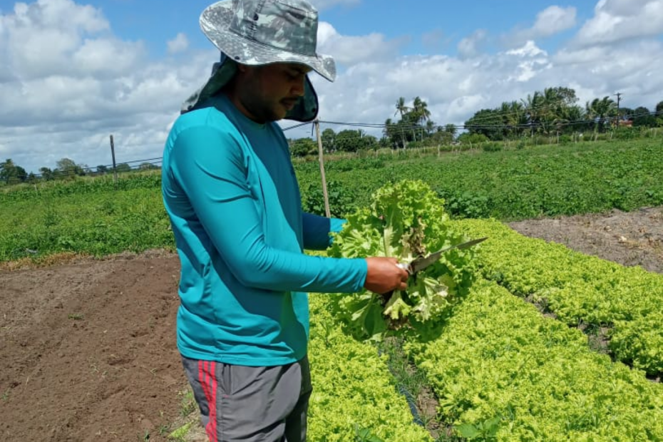 incentivos de pequenas empresas em Alagoas (Foto: Ascom Emater)