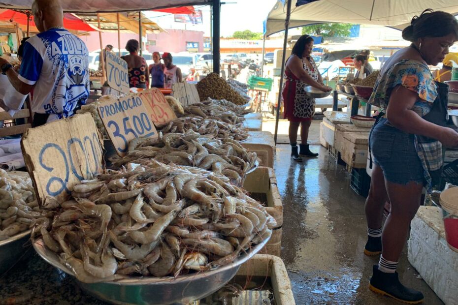 (Foto: Thaynara Monteiro/Mercatus)