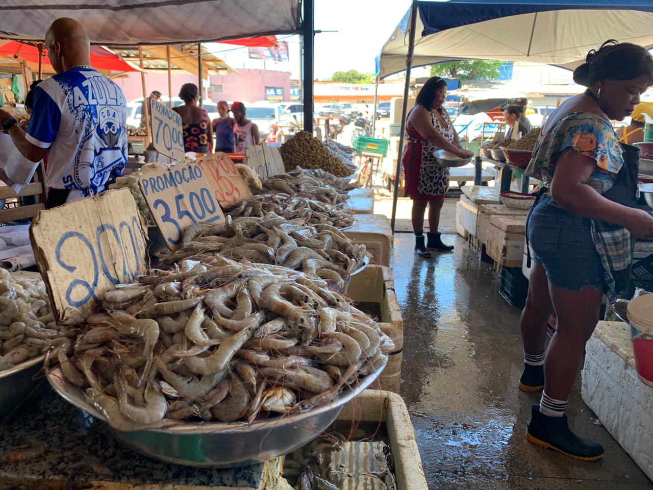 (Foto: Thaynara Monteiro/Mercatus)