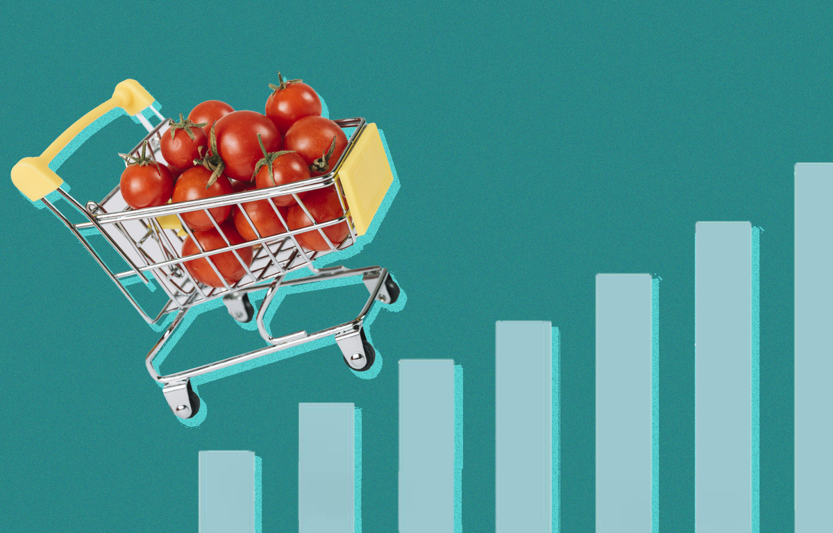 (Design: Micaelle Morais)