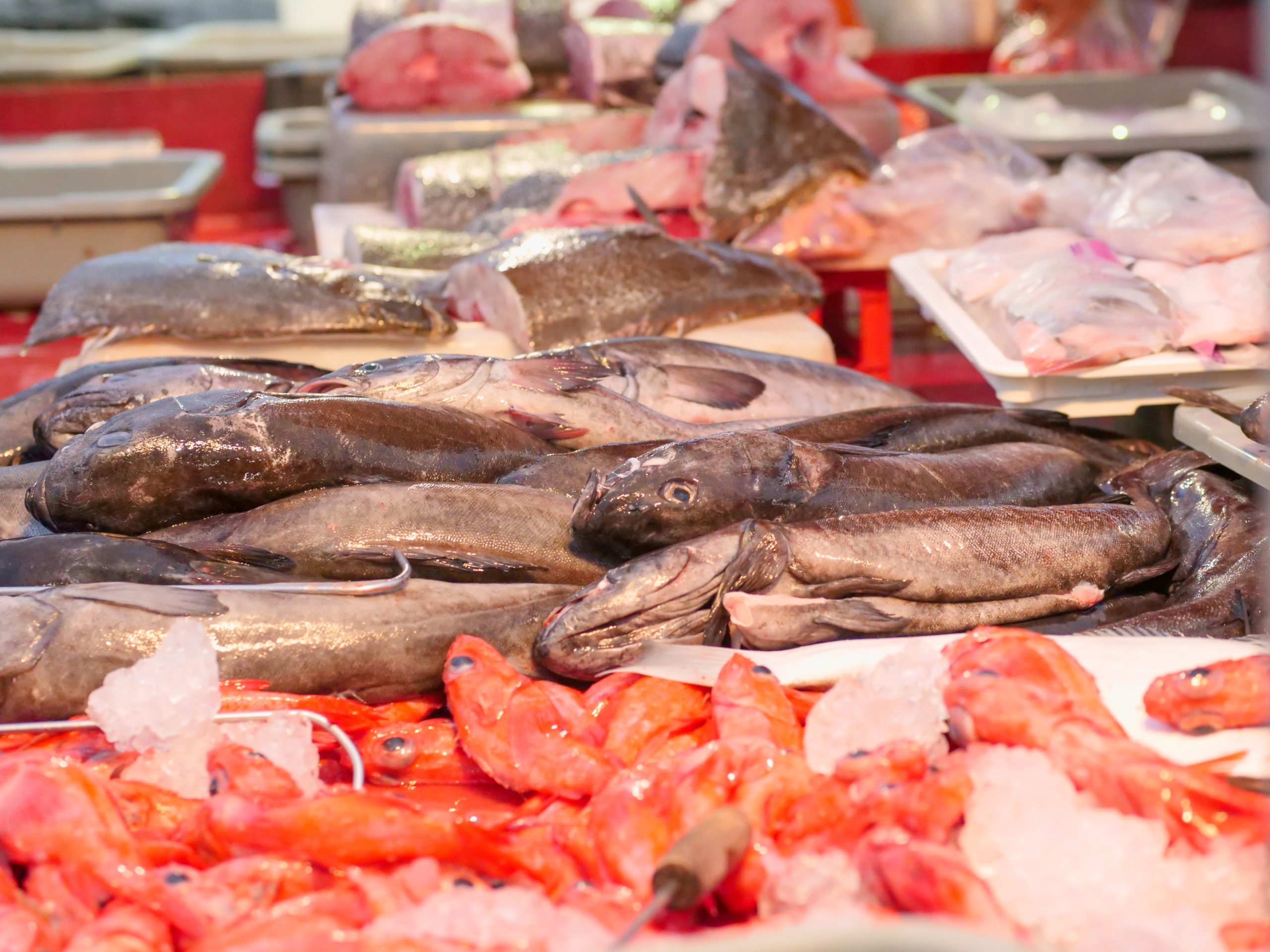 (Foto: Kindel Media/Pexels)