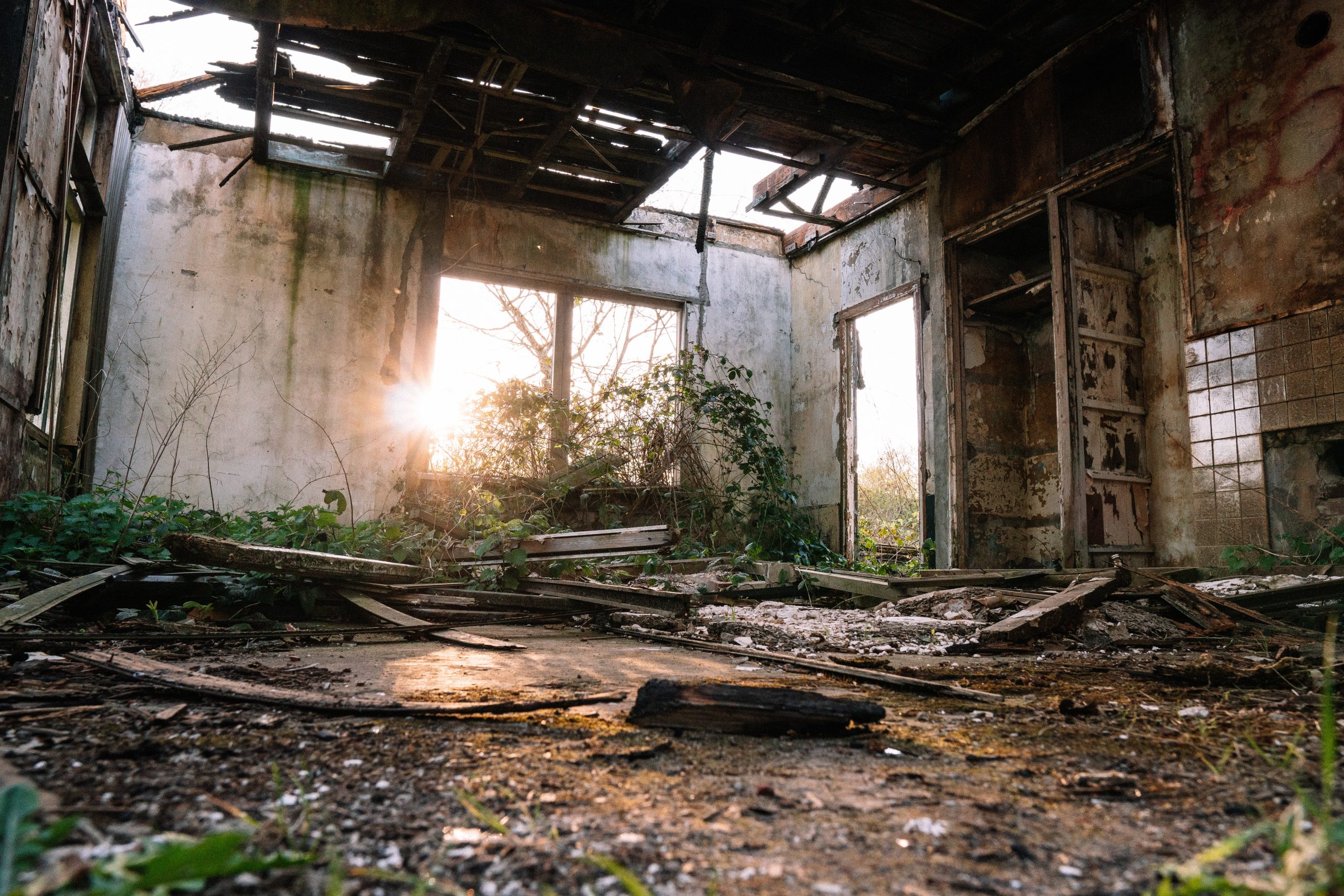 (Foto: Matthias Groeneveld/Pexels)