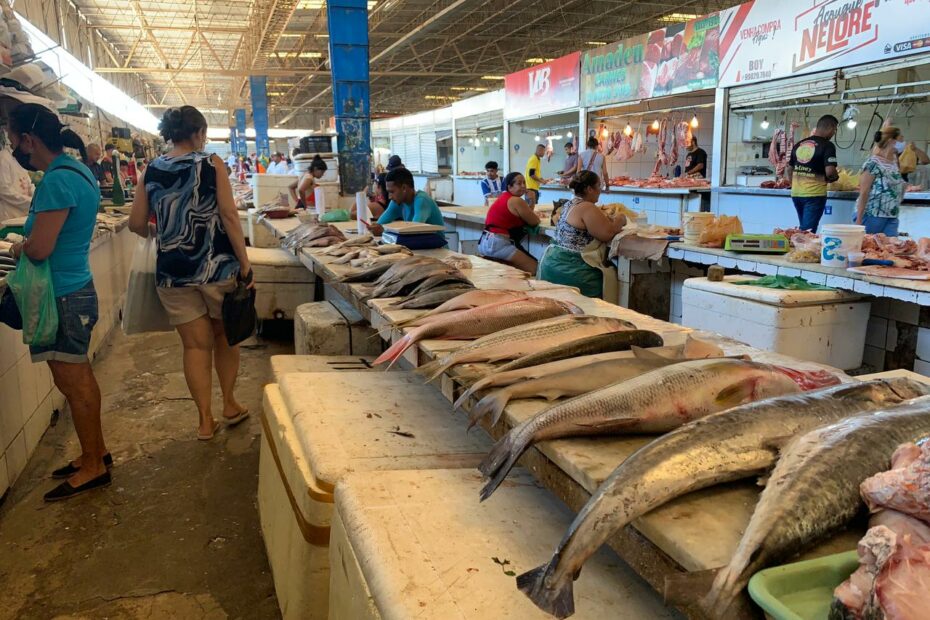 (Foto: Thaynara Monteiro/Mercatus)