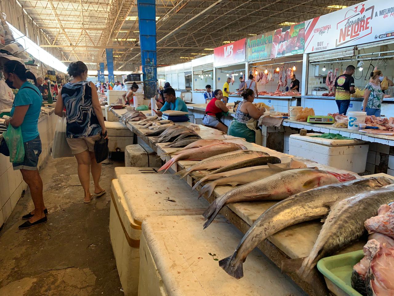 (Foto: Thaynara Monteiro/Mercatus)