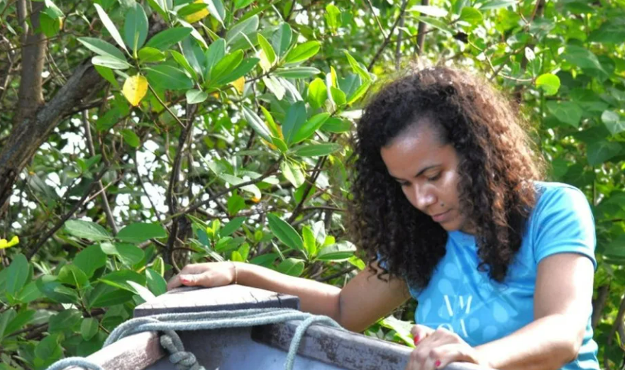 (Foto: Reprodução/Nosso Mangue)